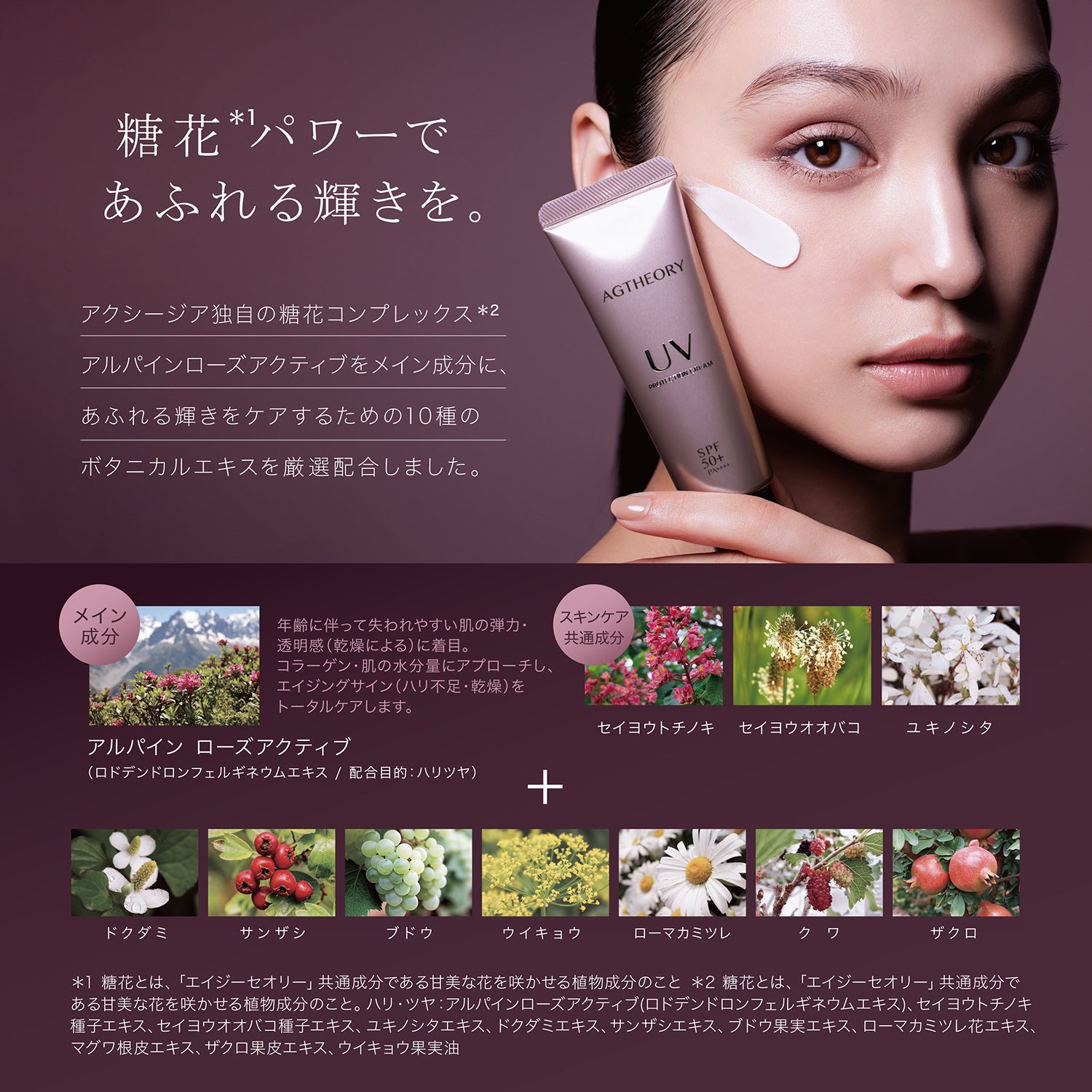 AGTHEORY UV Protection Cream SPF50+/PA++++ 40g