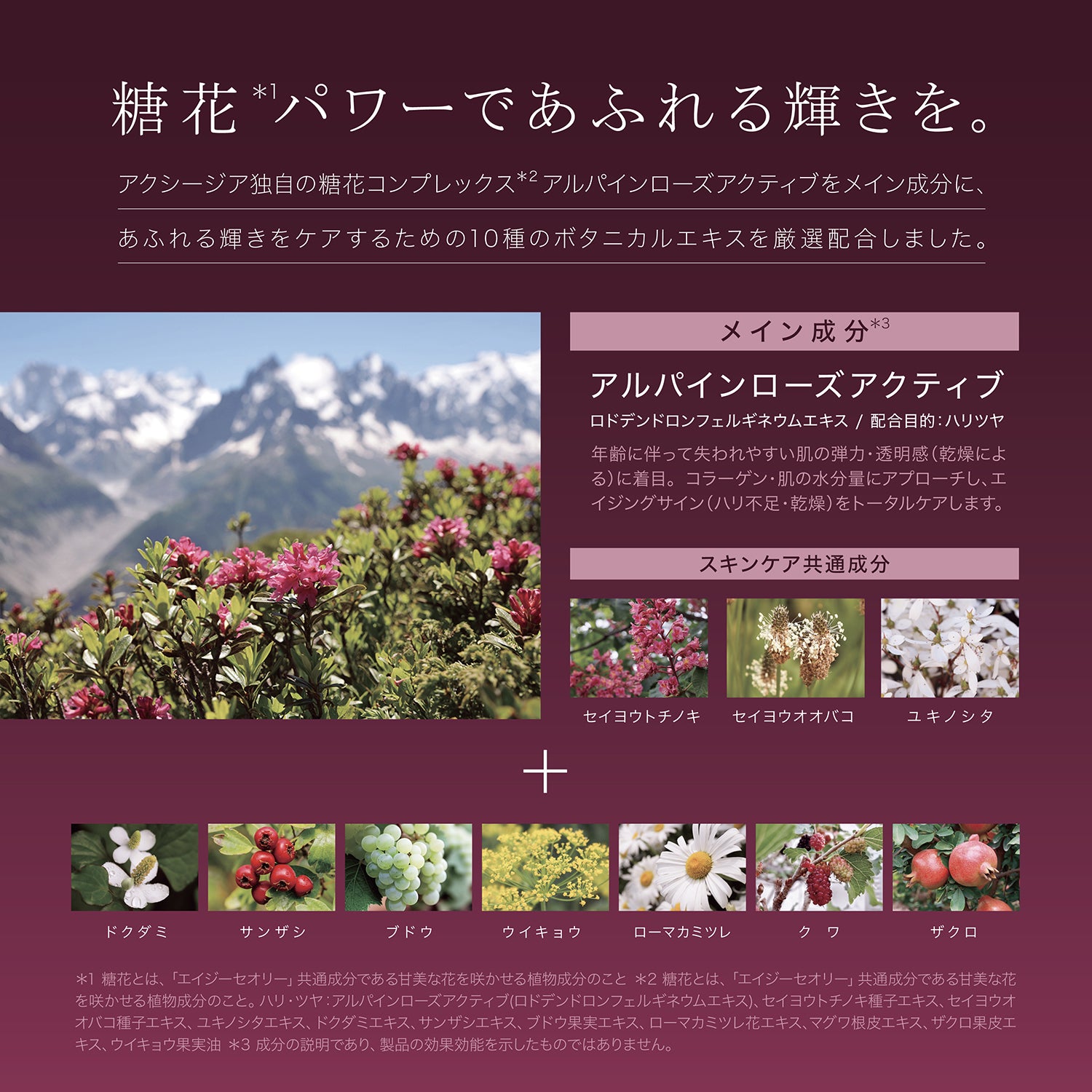 AGTHEORY Clear Wash Foam 100g