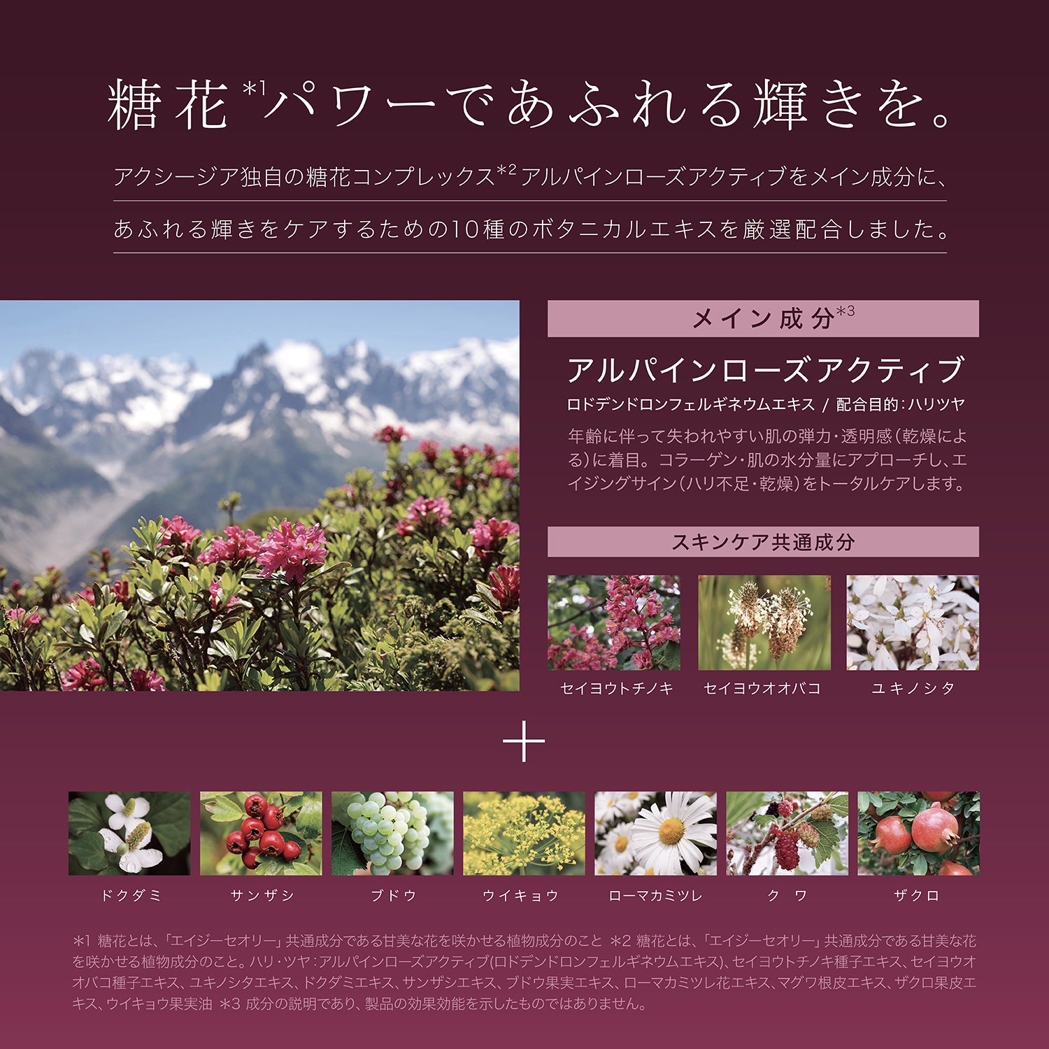 AGTHEORY 御糖絲滑精華面膜 5枚