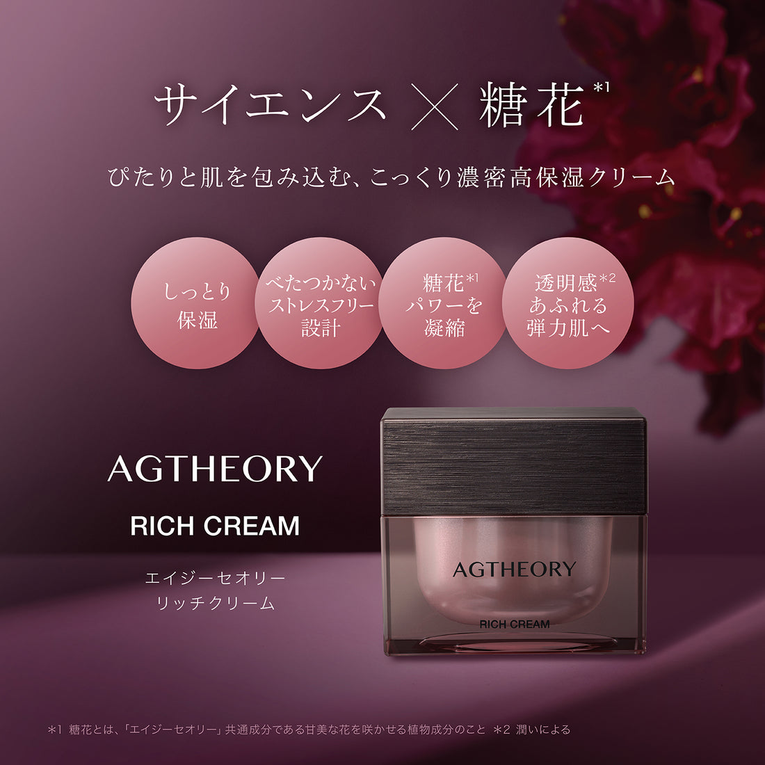 AGTHEORY Rich Cream 30g