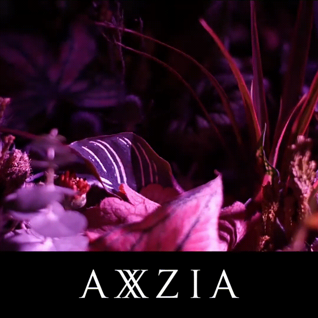 AXXZIA AG抗糖飲 第五代最新版 (25ml×30支×3盒)